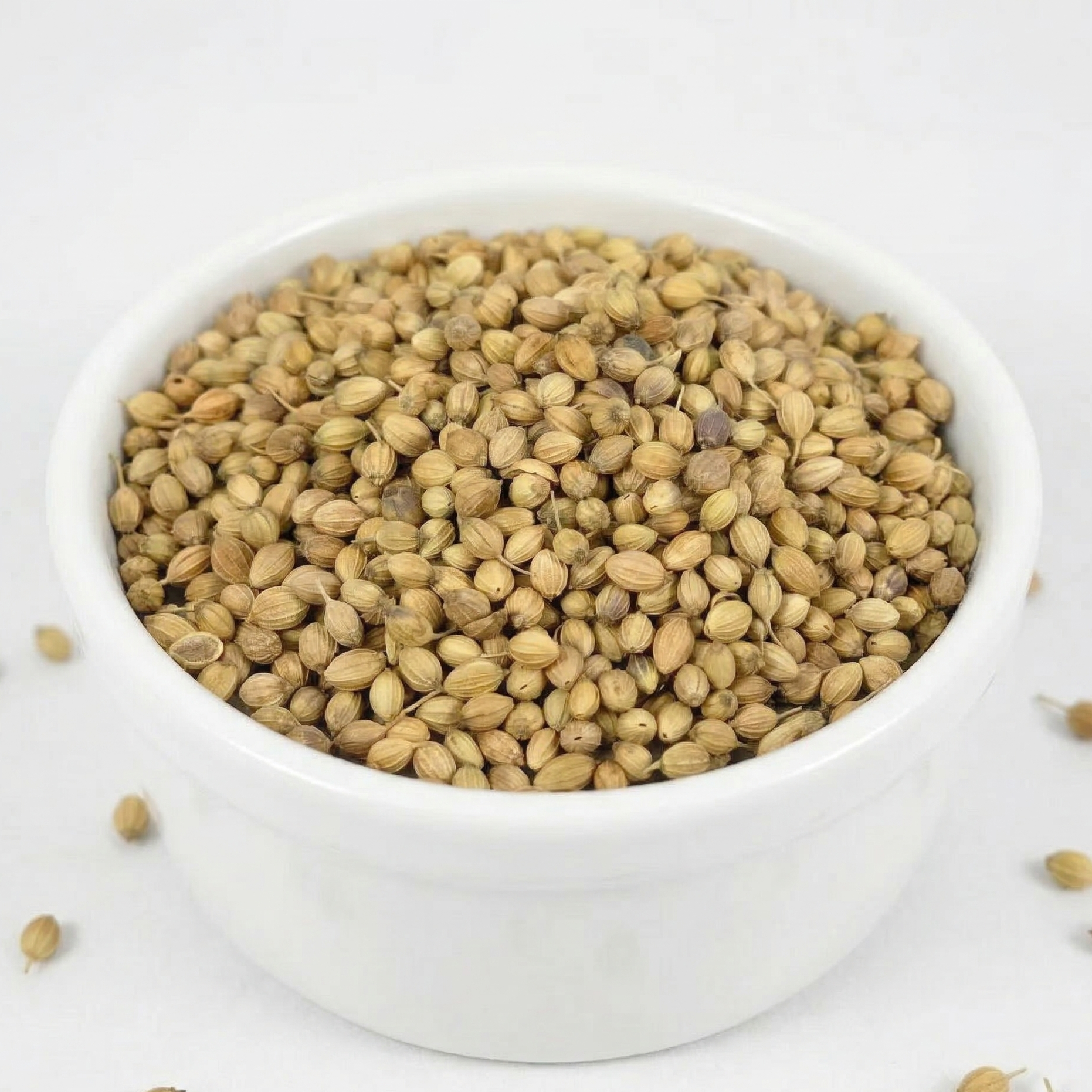 indian coriander seeds for planting Coriander Seed, Indian Whole – Old Town Spice Shop