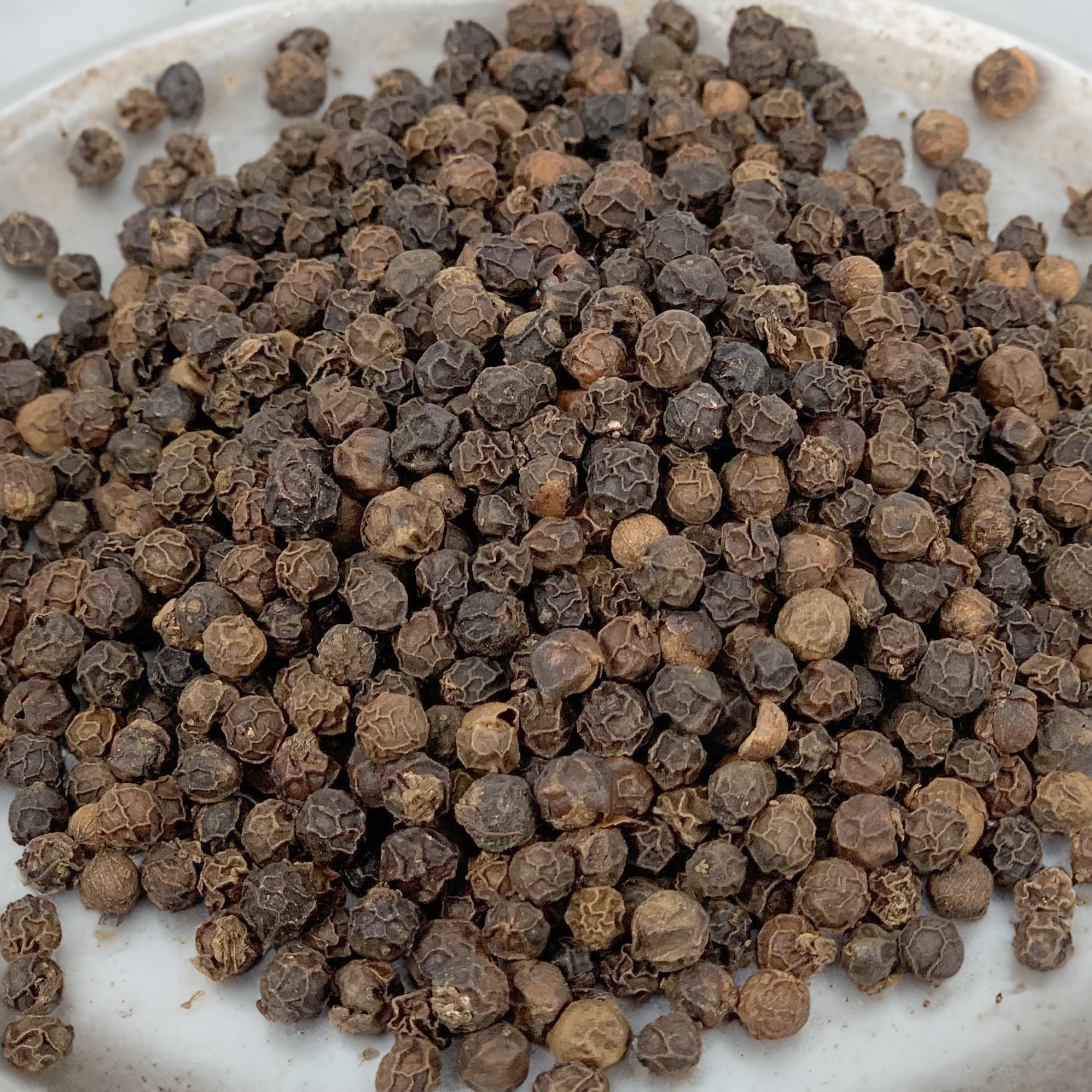 Acheter du Poivre Noir - Espèces biologiques Acheter du Poivre Noir - Espèces biologiques