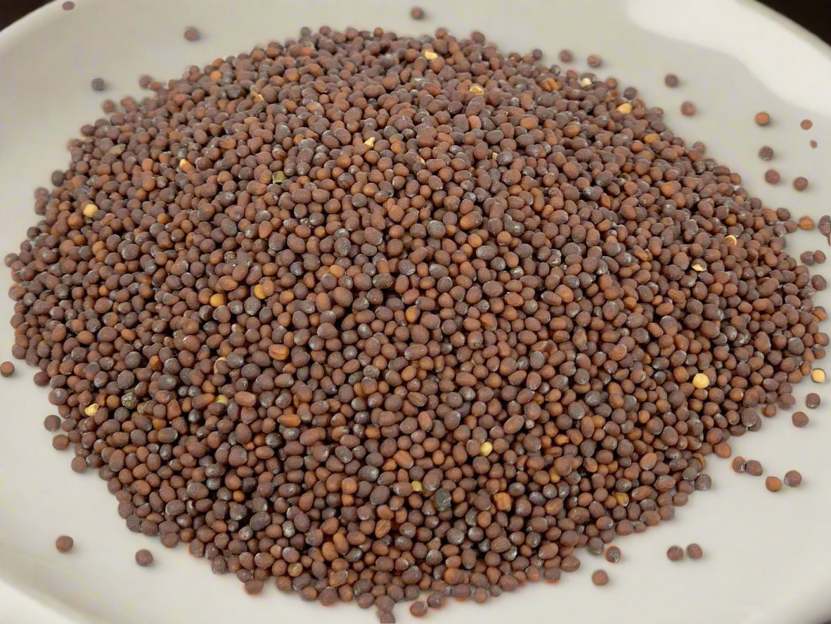 Brown Mustard Seed, Whole Old Town Spice Shop