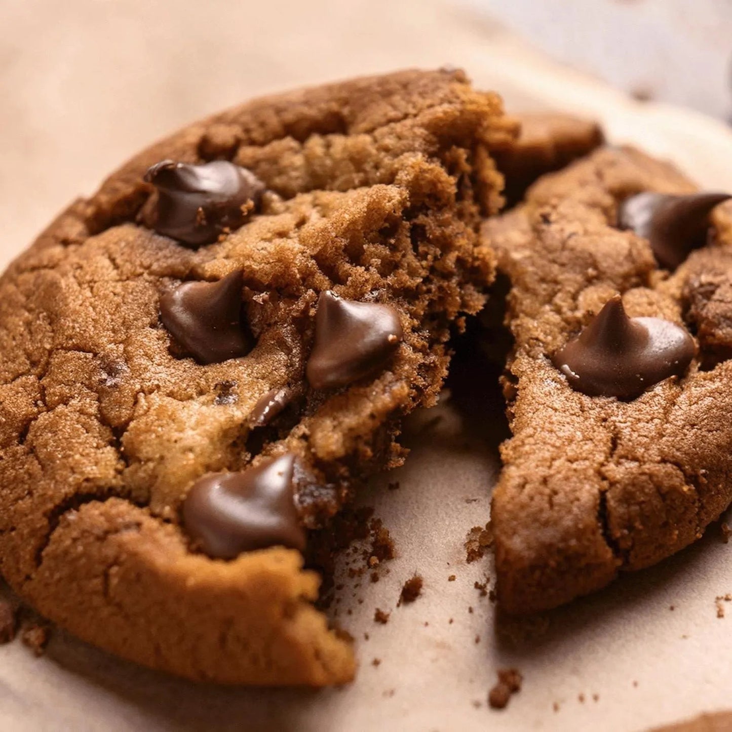Gooey Gingerbread Spiced Chocolate Chip Cookie