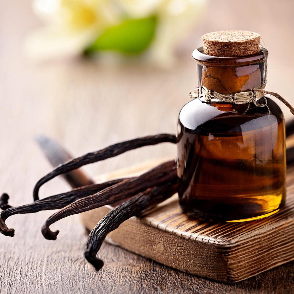 Vanilla Extract 