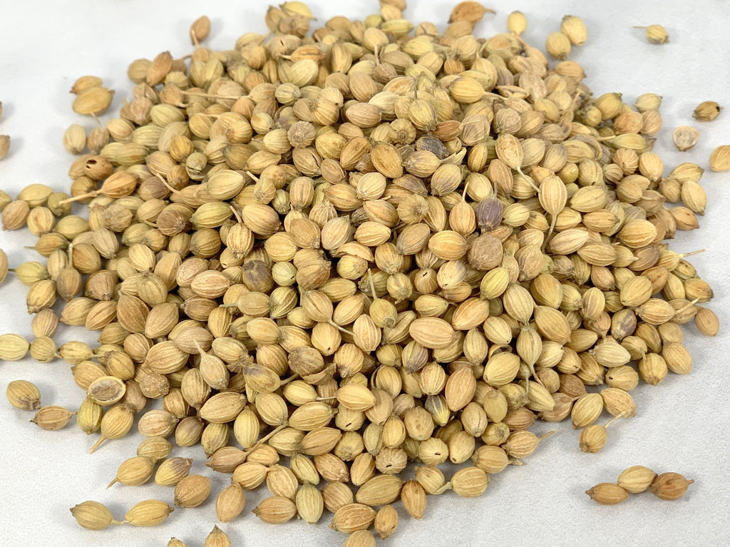 Coriander Seed, Indian Whole